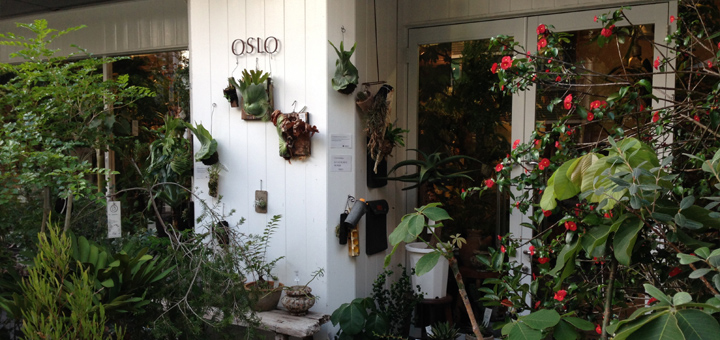 おしゃれな観葉植物の店 Oslo オスロ 大淀 梅田の北っかわ うめきた